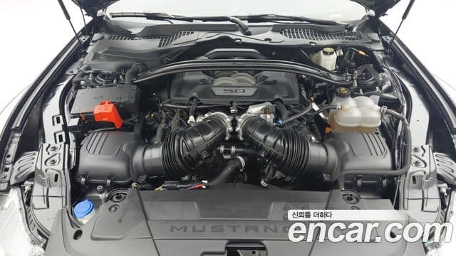 Ford Mustang 7세대 5.0 GT Premium кабриолет, 2025 6