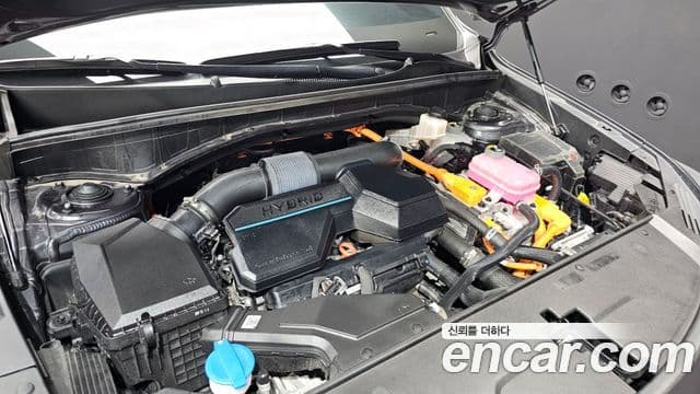 Kia Sorento 4세대 Noblesse, 2023 6