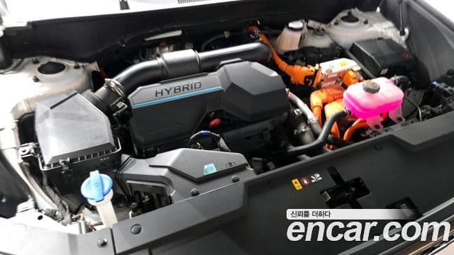 Hyundai Santa Fe (MX5) Calligraphy, 2024 6