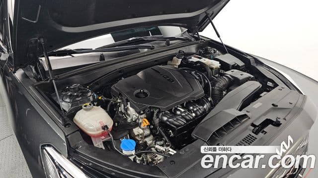 Kia K8 Signature Special, 2023 6