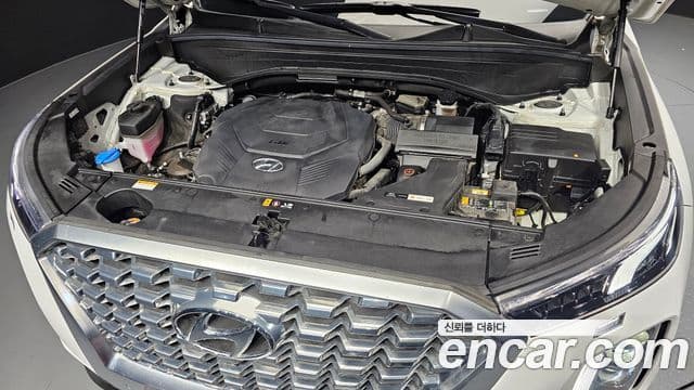 Hyundai Palisade Prestige, 2021 6