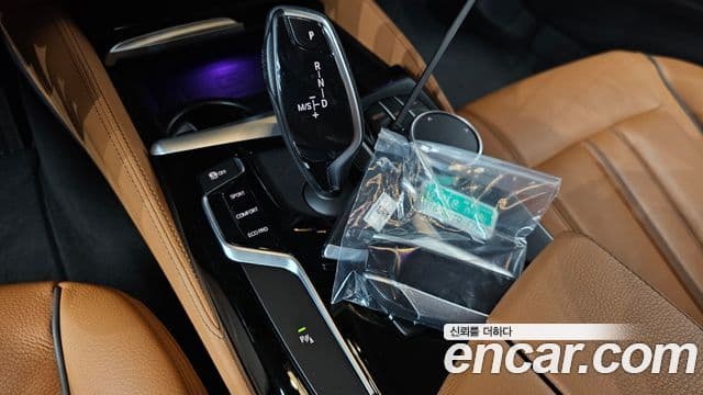 BMW 5시리즈 (G30) Luxury, 2020 9