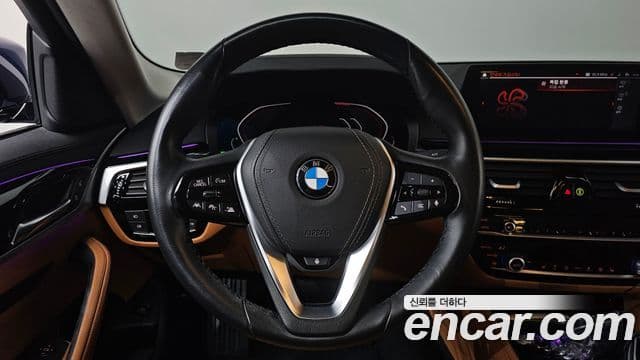 BMW 5시리즈 (G30) Luxury, 2020 12
