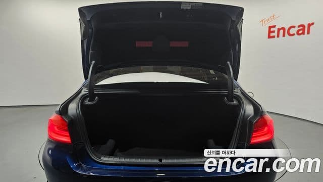 BMW 5시리즈 (G30) Luxury, 2020 19