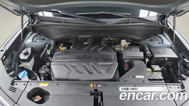 Hyundai Palisade Prestige, 2019 6