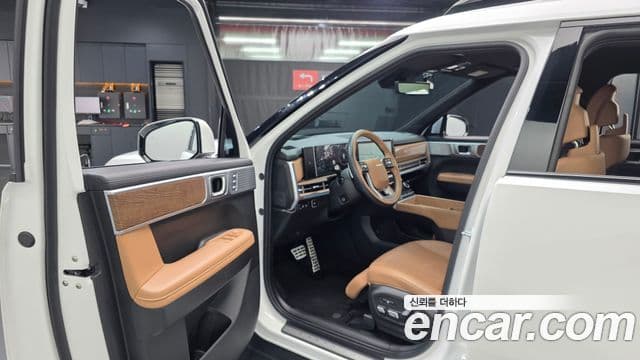 Hyundai Santa Fe (MX5) Calligraphy, 2024 11