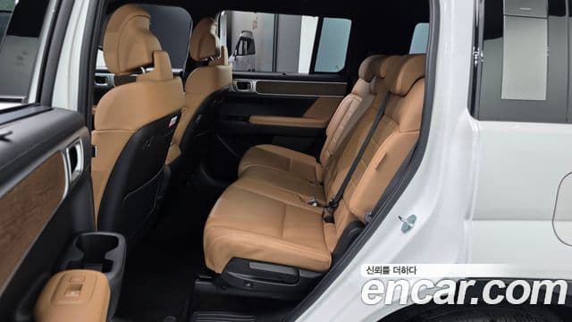 Hyundai Santa Fe (MX5) Calligraphy, 2024 12