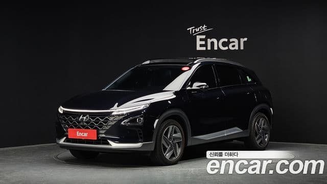 Hyundai NEXO Premium, 2024 1