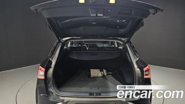 Hyundai NEXO Premium, 2024 19