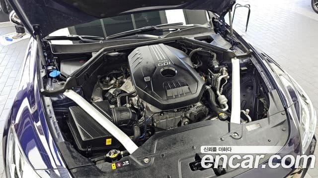 Kia 스팅어 Platinum, 2019 6