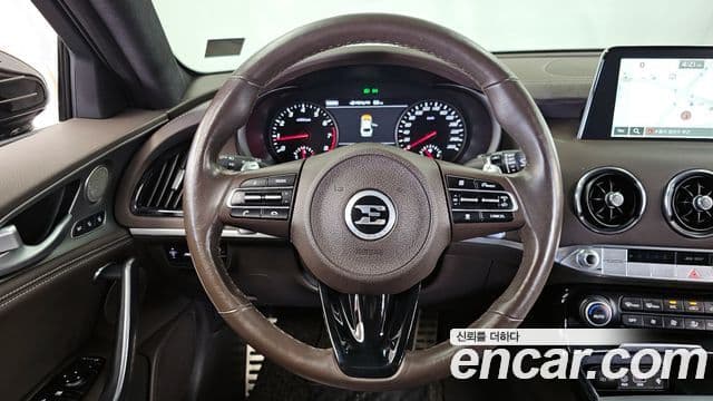 Kia 스팅어 Platinum, 2019 13