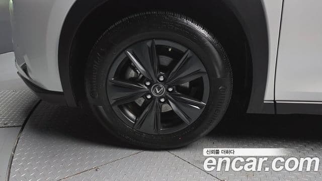 Lexus UX250h, 2024 все фото