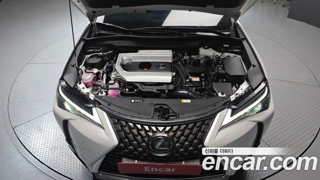 Lexus UX250h, 2024 6