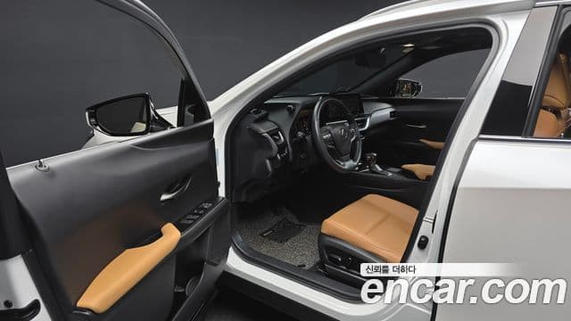 Lexus UX250h, 2024 10