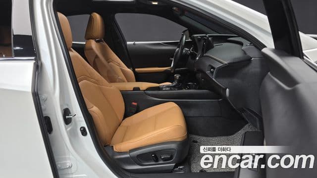 Lexus UX250h, 2024 11