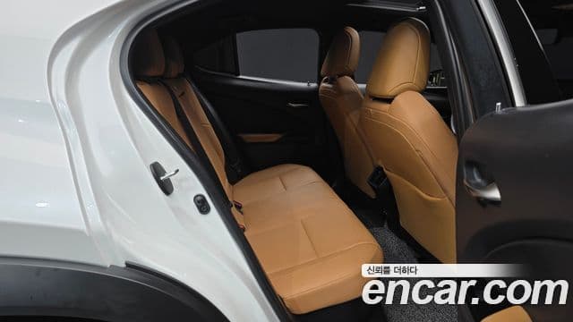 Lexus UX250h, 2024 12