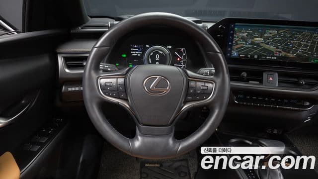 Lexus UX250h, 2024 13