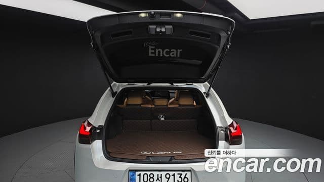 Lexus UX250h, 2024 20