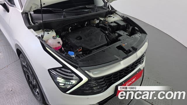 Kia Sportage 5세대 Signature, 2024 6