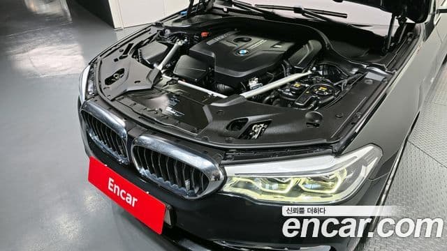 BMW 5시리즈 (G30) 530i xDrive Luxury Plus, 2018 6