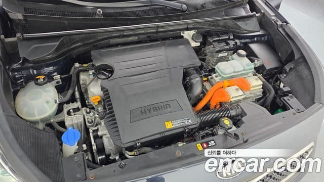 Kia Niro Noblesse, 2018 6