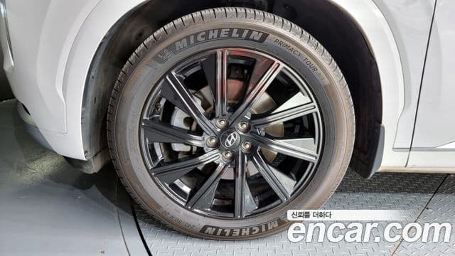 Hyundai Palisade Calligraphy, 2021 все фото