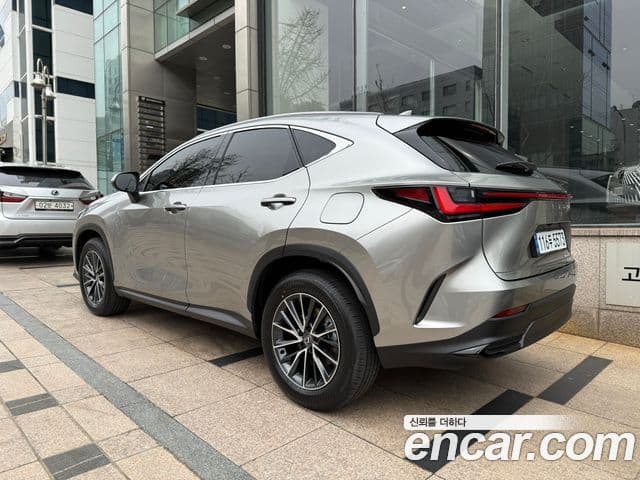 Lexus NX450h+ 2세대 Premium, 2025 все фото