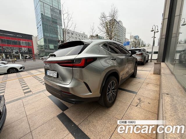 Lexus NX450h+ 2세대 Premium, 2025 6