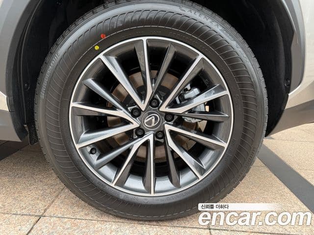 Lexus NX450h+ 2세대 Premium, 2025 18