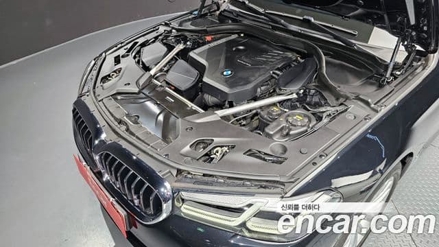 BMW 5시리즈 (G30) Luxury, 2021 6