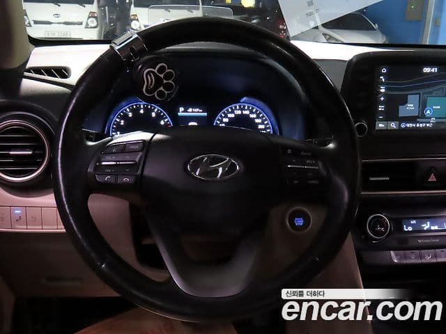 Hyundai Kona Premium, 2018 11