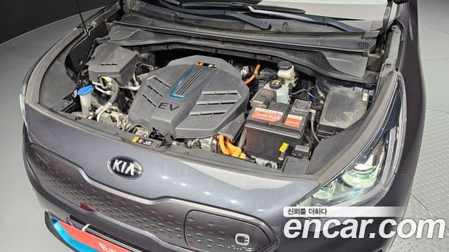 Kia Niro EV Noblesse, 2020 6