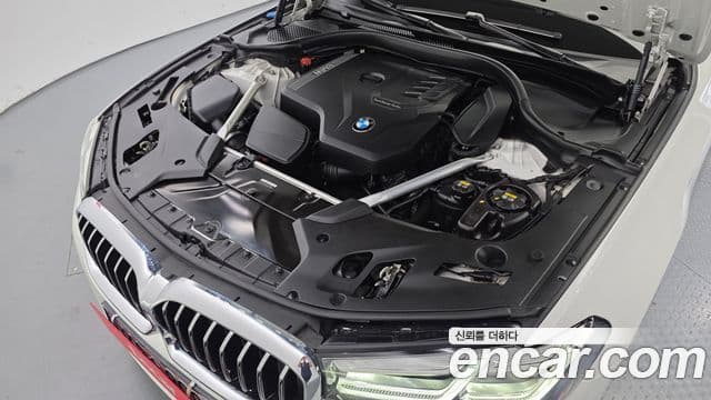 BMW 5시리즈 (G30) Luxury, 2021 6