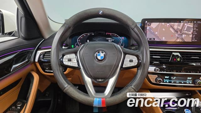 BMW 5시리즈 (G30) Luxury, 2021 13