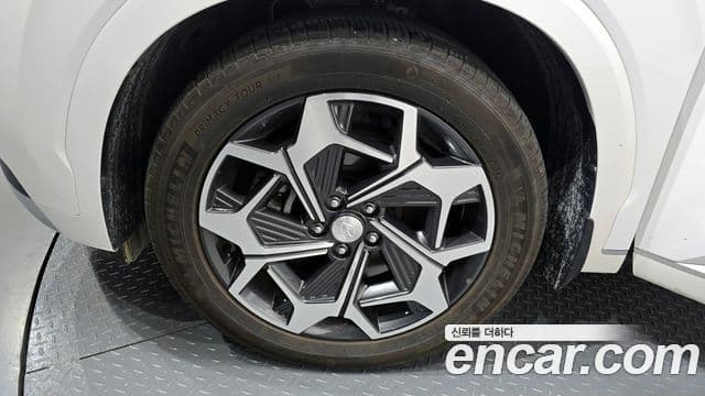 Hyundai Palisade Calligraphy, 2021 все фото