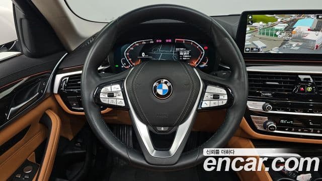 BMW 5시리즈 (G30) Luxury, 2023 13