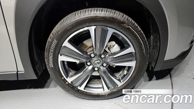 Lexus UX250h, 2024 все фото