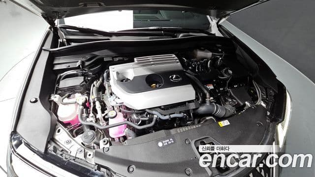 Lexus UX250h, 2024 6