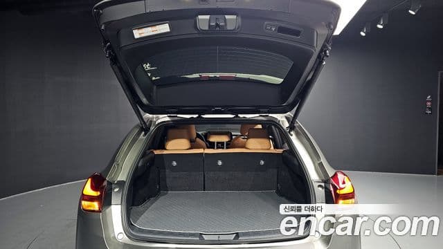 Lexus UX250h, 2024 20