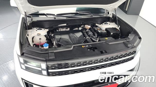 Hyundai Santa Fe (MX5) Calligraphy, 2024 6