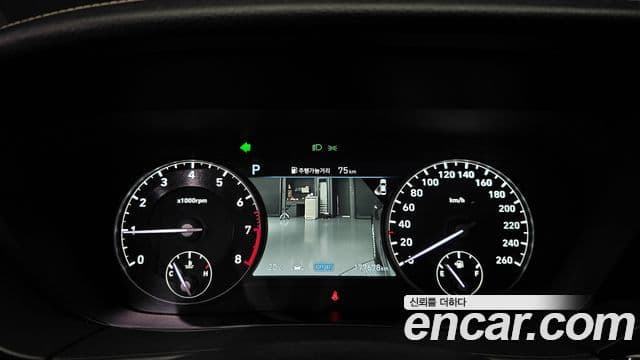 Genesis G90 Premium Luxury, 2021 8