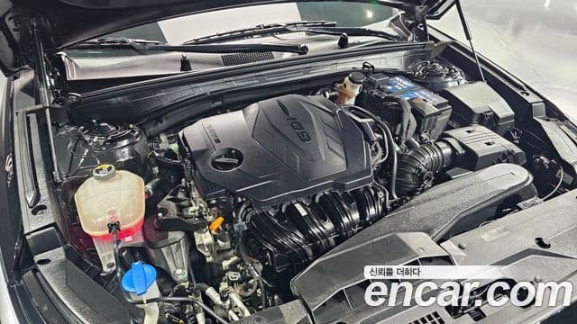 Kia K8 Signature, 2022 6