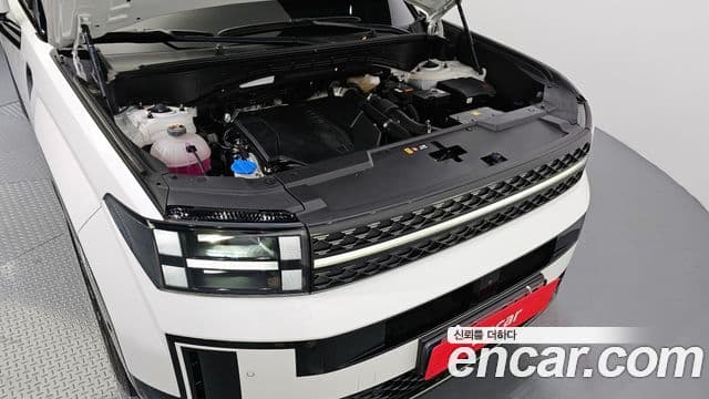 Hyundai Santa Fe (MX5) Calligraphy, 2024 6