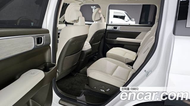 Hyundai Santa Fe (MX5) Calligraphy, 2024 10