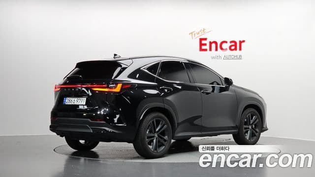Lexus NX350h 2세대 Premium, 2025 2
