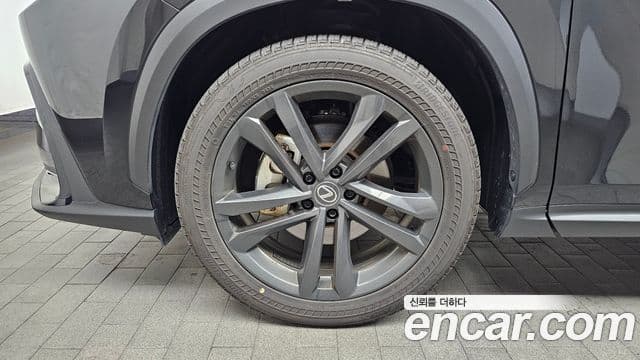 Lexus NX350h 2세대 Premium, 2025 все фото