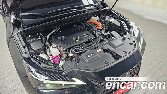 Lexus NX350h 2세대 Premium, 2025 6