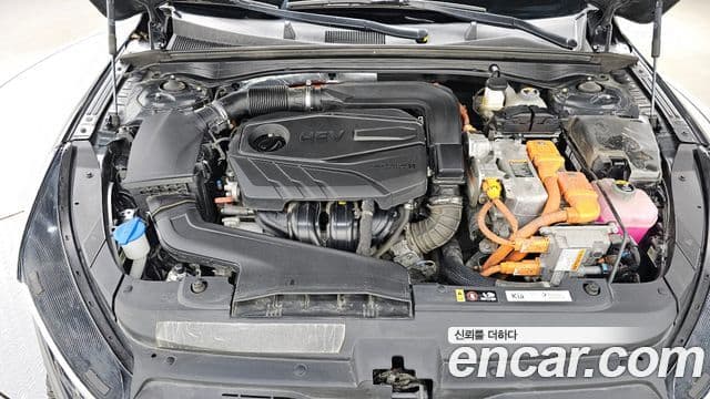 Kia K5 гибрид 3세대 Prestige, 2023 6