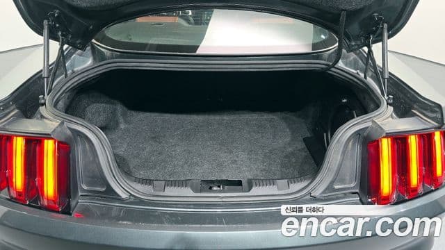 Ford Mustang купе, 2016 20