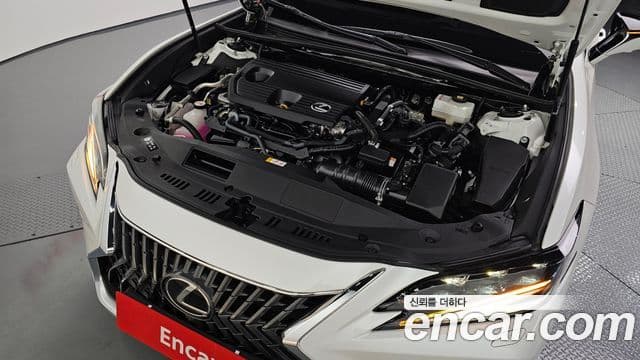 Lexus ES300h 7세대 Executive, 2025 6